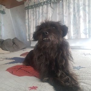 Meet your Posher, Abigail